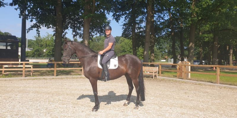 Abschlußtraining
